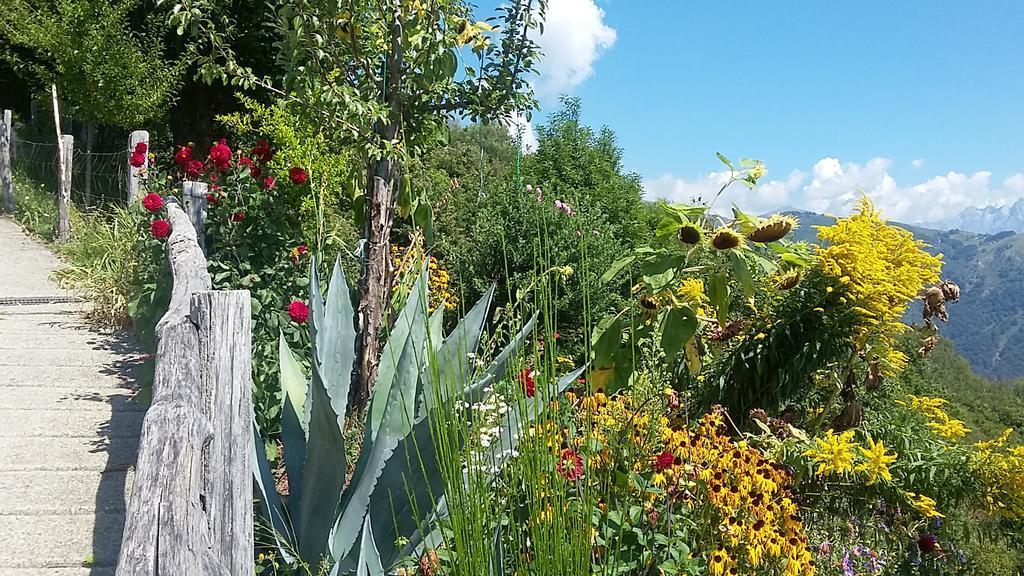 Agriturismo Zertin Gravedona Εξωτερικό φωτογραφία